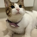 人がすき！☆しーちゃん☆かまって女子☆