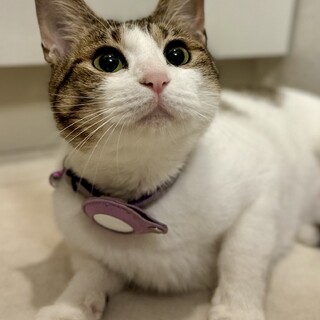 人がすき！☆しーちゃん☆かまって女子☆