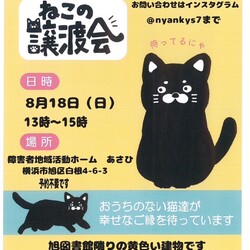 保護猫譲渡会 サムネイル1