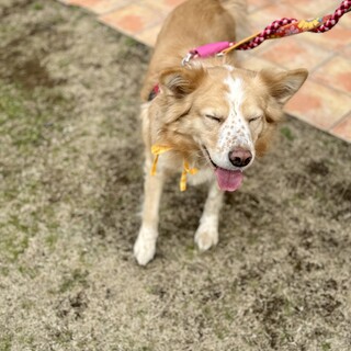 モフモフ ★  そばかす美人