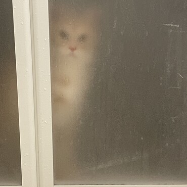 の写真