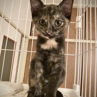 大食漢女子！「びーちゃん」