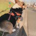 沢山のお問い合わせありがとうございました。