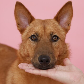 イケメン優男カイくん