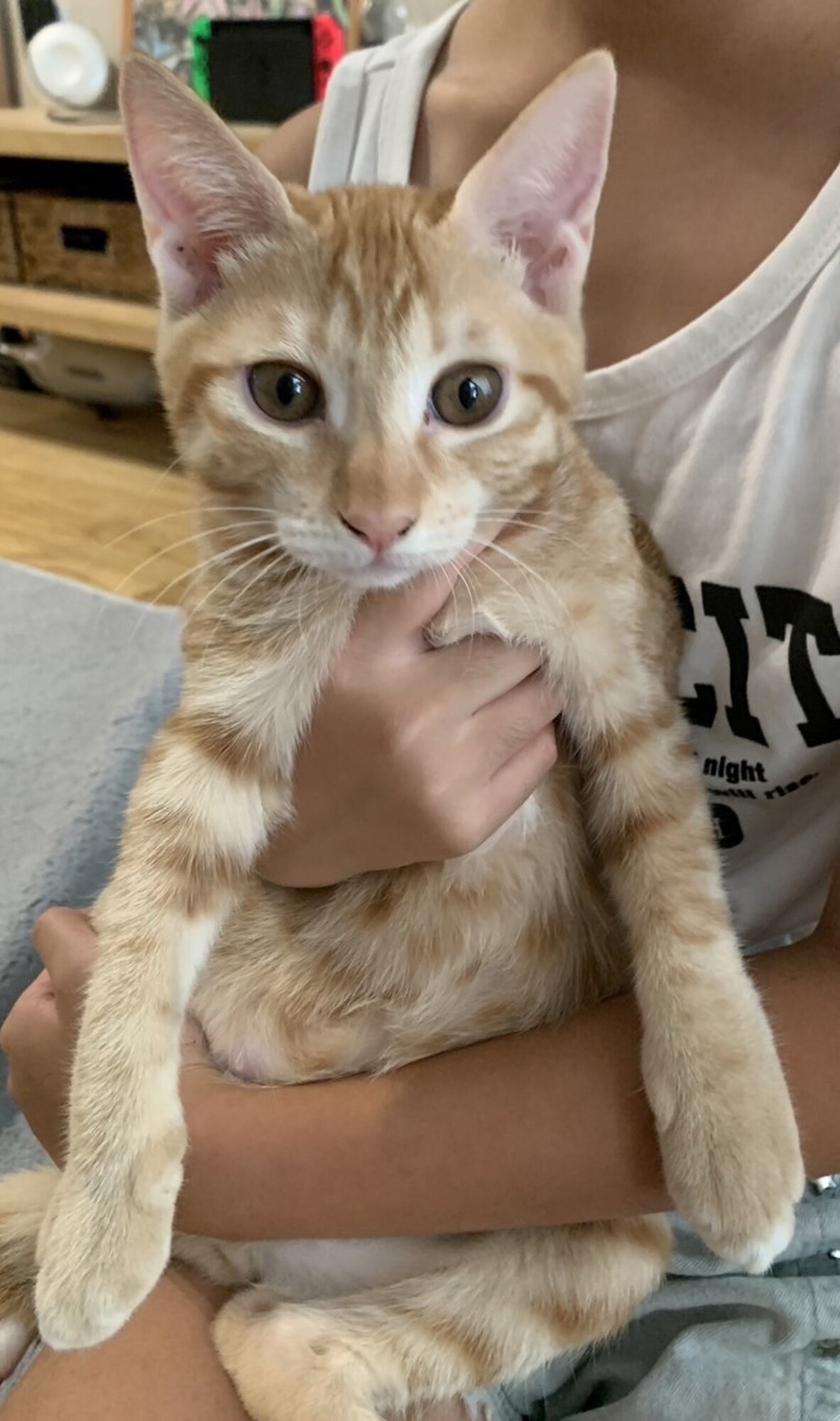 元気な男の子。 サムネイル1