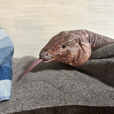 一緒にベットで休憩