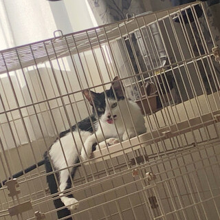 早急に引き取り願います