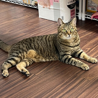 ムチムチおっとり⭐︎ぴーこ⭐︎癒し系
