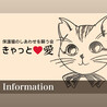 保護猫の幸せを願う会「きゃっと❤️愛」