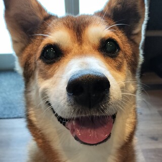 人が大大大好き！甘えん坊エムくん