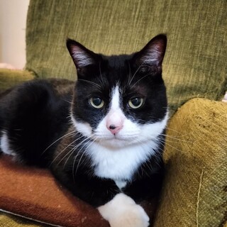 手が白パンみたいな男の子・きんつばくん