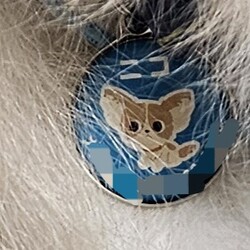 「ドックタグ」サムネイル2