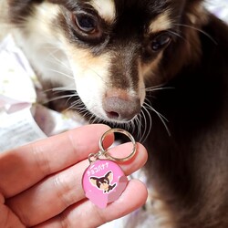 「ドックタグ」サムネイル3