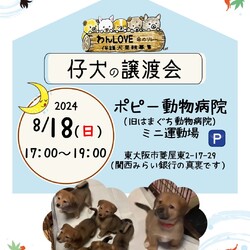 雑種の仔犬の譲渡会