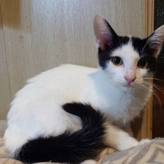 控えめで大人しいひまりちゃん！