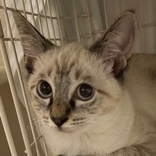 お目々くりくりの可愛い涼太くん！