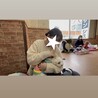 木の