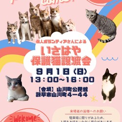 個人ボランティアさんによるいさはや保護猫譲渡会