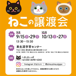 しましましっぽ譲渡会