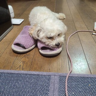 2人一緒にお願いします