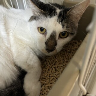 おっきな甘えん坊さん・ゆうきくん