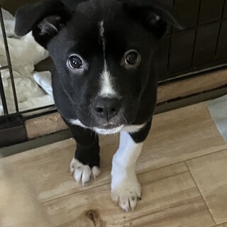 じわりじわりと慣れていくタイプです