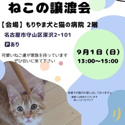 ねこの譲渡会 inもりやま犬と猫の病院