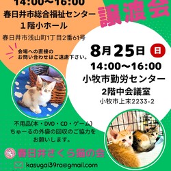 保護猫の譲渡会in小牧