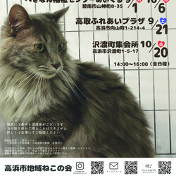 保護猫譲渡会@碧南市 サムネイル3