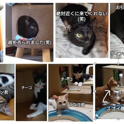 「2024.08.18-02」サムネイル1