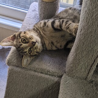 ぐいぐい甘えんぼのリノくん♪