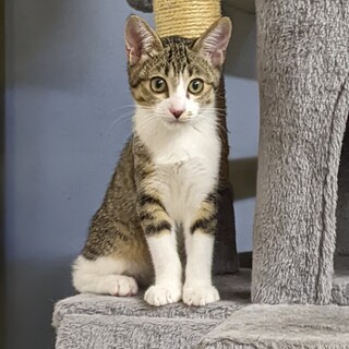 透明感あふれる美人なマナ♡