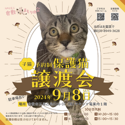保護猫譲渡会（予約制）