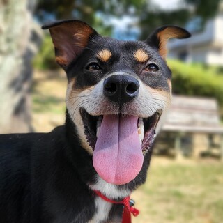 募集一時停止中です。笑顔が可愛い・ひなた