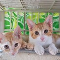 みさきくん＆なぎさくん