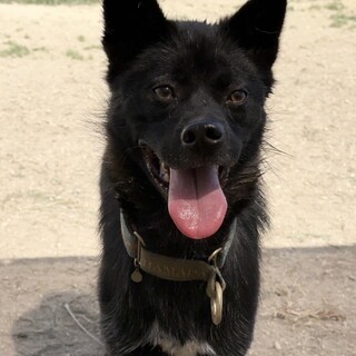 性格満点♡お茶目なこんぶ君♡