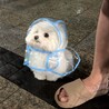 mquneさん