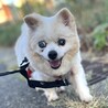 のんびりまったり、マイペースな女の子♡ サムネイル4