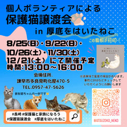 保護猫譲渡会 in 厚底をはいたねこ