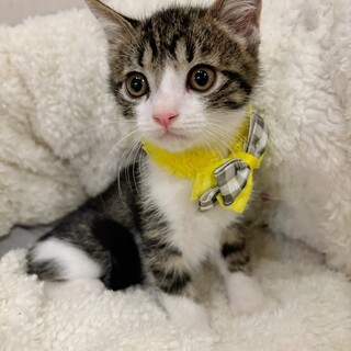 甘えん坊で穏やか♡げんたくん