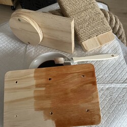 「まつりさん、登り縄をつけるぞ　」サムネイル2