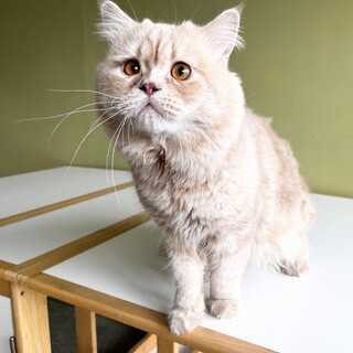 ガッチリとした体つきが特徴の男の子！