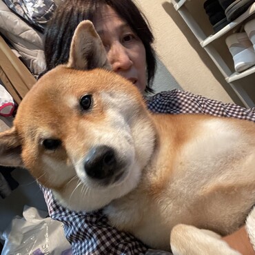 の写真