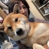 の写真