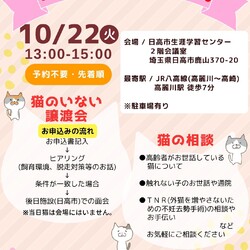 にゃんずの相談会 in 埼玉県日高市