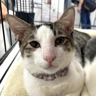 里親決定☆かがやき君