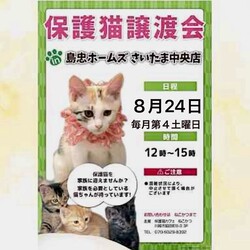 8/24（土）島忠ホームズさいたま中央店保護猫譲渡会