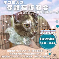 子猫・保護猫譲渡会を開催！僕たちは家族になる準備はできている！＠オアシスパーク