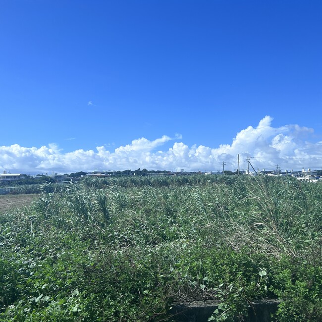 クラキンさんのカバー写真