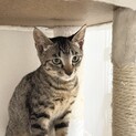 大人しくて少し怖がりな男の子⟡.·